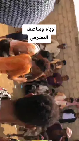 #تهامه_اليمن_اللون_التهامي#وبأه ومناصف #رقص #المعترض #حرض #الزهره #الغربه_وايامها_ربنا_يهونها  #foryoupage #foryou