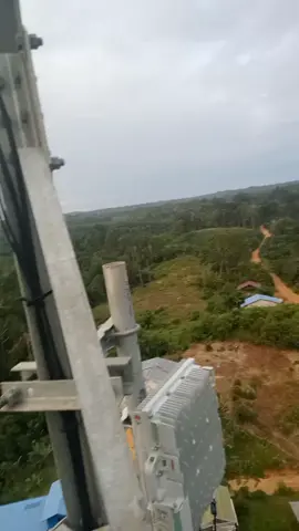 monyet Kalimantan ni bos senggol donk fypfyp Kalimantan