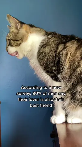 Man’s best friend? 😸 #fyp #dogs #cat #bestfriend #mansbestfriend #funny #xyzbca #foryou