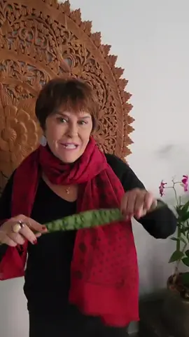 Terça-feira, dia de São Jorge!! Aqui um vídeo com uma super dica de limpeza energética no seu lar e no seu corpo!!!#saojorge#limpezaenergetica#marciafernandes