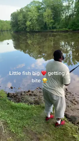 When they little but fight hard￼#tiktok #viral #fyp #catfishingpeople #catfishing #trending #allfishing #fishing #havefun #fishfun