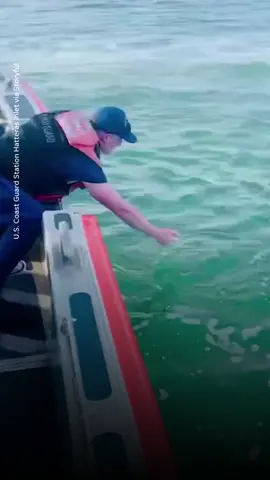 After a dog named Myla was 