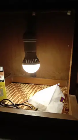 uyon2 nggo sangu turu... 😴 #kianomsuroto #wayangkulit