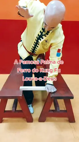 TSKF Kung Fu #tskf #kungfu #wushu #louvaadeus #artesmarciais #shaolin #ironpalm #palmadeferro #chikung