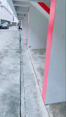 #ห้ามปิดกันมองเห็นเด้อ_เอากูขึ้นฟิล์มที. @thetohey.2