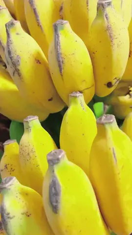 Cute little banana#banana #fruits #cute #foryou