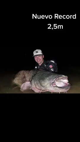 Increíble momento 💥🔥🔥 #fishing #pesca #wedkarstwo #catfish #siluro #sum #predatorfish #monsterfish #rivergishing #spinfishing #foryou #paraty