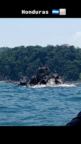 #tierrazantachallenge #trueno #bienomal #truenopai Honduras 🇭🇳📈