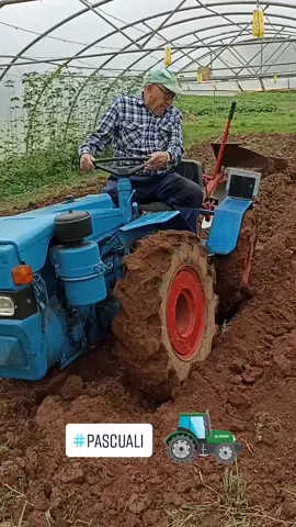 Tractor Pascuali arando invernadero. #arar #pascuali #tractor #ararinvernadero #roturar