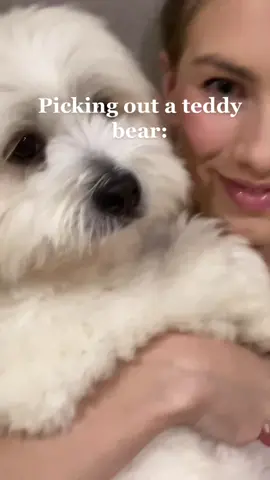 Lulu is now a paid actress #puppy #fyp #foryou #justiceforjohnnydepp #eeniemeenie