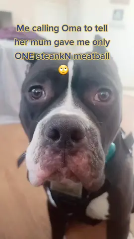 I was hungry 🤷‍♀️ #agewithammo #hungryeyes #TopGunMode #onlyone #sorry #notsorry #pitbullsoftiktok #fyp