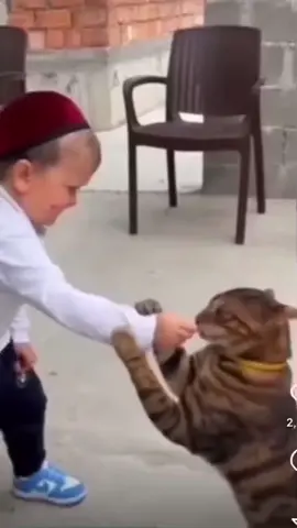 How to be a king #xyzbca #duet #comedy #fyp #foryoupage #funny #foryou #hasbulla #viral #trending #humor #fypシ