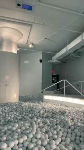 New besties from this trip 🥰 #fyp #foryoupage #besties #ballpit #nyc #newyorkcity #besttripever #colorfactory #color