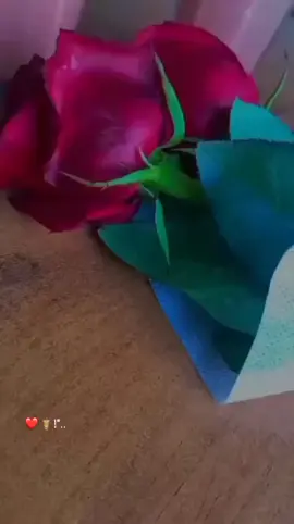 #كوني_معي🥺❤ #لايك #فولو #كومنت #explor