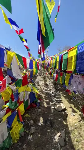 #lung means air or wind and Ta means horse…So Lungta means Air-horse or Wind horse…..#Lungta prayer flags #buddhist #monk #foryoupage #fyb