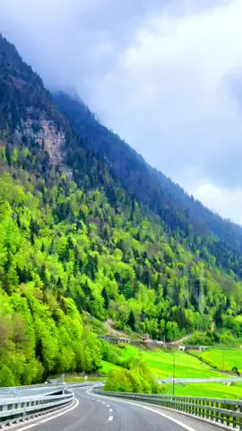 #swissroads 🇨🇭#switzerland #switzerlandnature #roadtrip #vierwaldstättersee #schwyz #verliebtindieschweiz #swissbeautiful #sisiswiss
