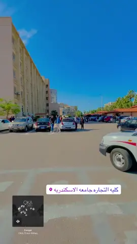 #كليه_تجاره_اسكندريه #اكبسلوررررر