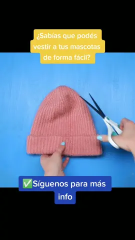Viste a tus mascotas con estos tips! #oportunidades #costuracreativa #costuracanina #perros #costurafacil #ropaparamascotas #ropaparamascotas🐶🦮🐕‍🦺 #crearopa #aprendeacoser #
