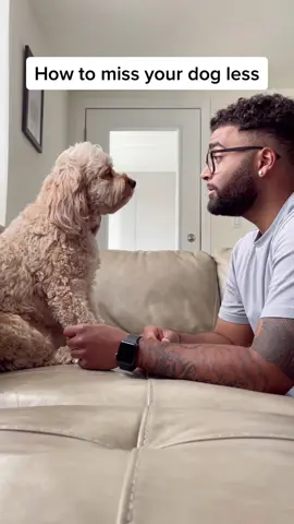 Well worth the wait 🥹 #cute #puppy #puppylove #fyp #foryou #lovestory