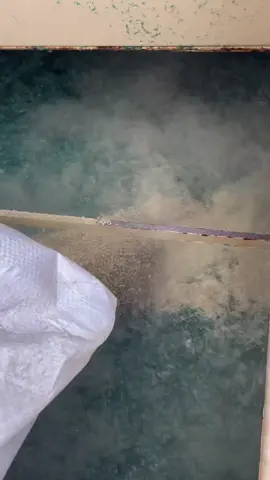 Order up! Fresh green grass coming right up just in time for summer 🌱#Hydroseeding #NorthFloridaHydroseeding #LakeCity #Landscape #Grass #LiquidGrass #fyp