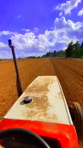 #فلاحة🖤🌿 #شطر_الخدمة_محواس