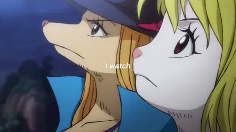 Draft #carrot #pedro #anime #onepiece #fyp