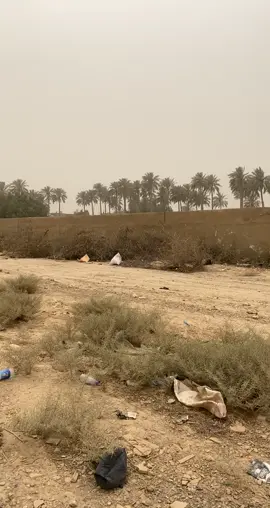 اختناق#بغداد#تراب #العراق #الحبشة #هجرة#تحشيش