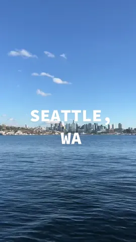 my new favorite place #seattle #seattlewa #washington #seattlevlog #pikeplacemarket  #aesthetic #springaesthetic #skyline #college #contentcreator #microinfluencer
