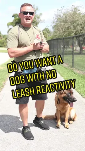 Check out our website DIY9.COM  #dog #doggo #doglovers #dogoftheday #dogs #dogsofinstagram #dogstagram #dogtrainer #dogtrainers #dogtrainersofig #dogtrainingadvice