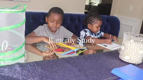 The kids and I truly enjoyed learning more about nature in our spring #unitstudy check out the full video on our YouTube channel #linkinbio #blackhomeschoolers #youtubers #natureschool #gardenschool #homeschooltiktok