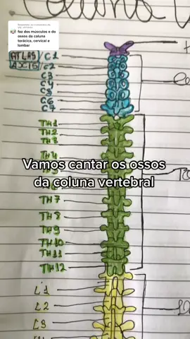 Responder @lyly_universo Letra modificada porém inspirada pela turma da Rad03. Depois de memorizar a divisão das vértebras, para memorizar o nome de cada uma é só associar com a inicial de cada divisão🥰 #colunavertebral #parodia #medicina #enfermagem #corpohumano #esqueletohumano #aprenderonline
