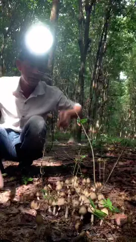 ai đã từng🍄