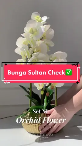 Set bunga anggrek udah dapet 1 set sama vase