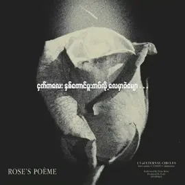 🥰နှင်းဆီကဗျာ 🥰မင်းကနှင်းဆီဖူး ကိုယ့်ဆူးနှောင့်ပါအချစ်ရယ်😔