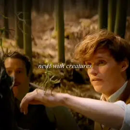 my fav thing about him honestly || #fantasticbeasts #newtscamander #newtscamanderedit #fyp #xyz