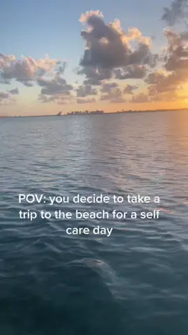 been a stressful week and it’s only Monday #miami #fyp