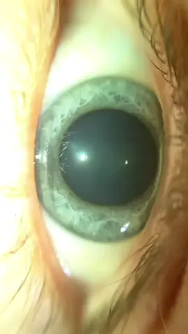 Video dump ☁️🫧⛓ #wearableart #wearablesculpture #secondskin #artificialhumanskin #flesh #skin #skinart #humanskin #sfx #prosthetic #sculpture #contemporaryart #art #artist #uncanny #sfxmakeup #sfx #sfxmua #sfxartist #specialeffectsmakeup #specialeffectsmakeupartist #prosthetic #prostheticmakeup