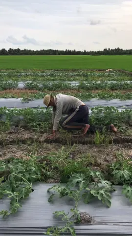 Tuy cực mà vui🤔🤔🤔