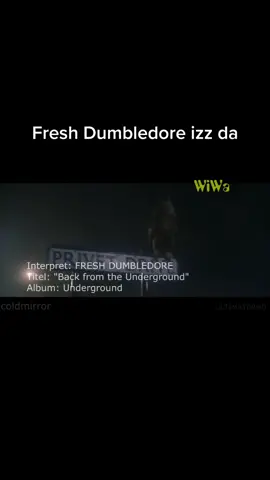#harrypotter #harry #parodie #lustig #comedy #song #Dumbledore #Rap #Musik #Viral #freshdumbledore