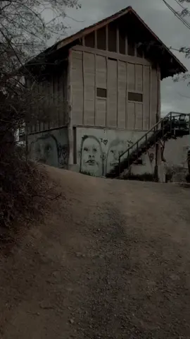 it has been a demotivating week 🥺 #darkaestheticvibes #backgroundvideo #darkacademia #darkaesthetic #streetarteverywhere #junglelife #moody_edit #moodygrams