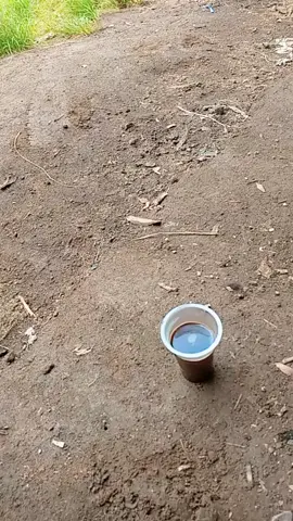 milarian kango dengen kejo na😅