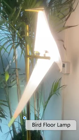 Bird light #amazon #Bird #Lamp @mathewpwillmann