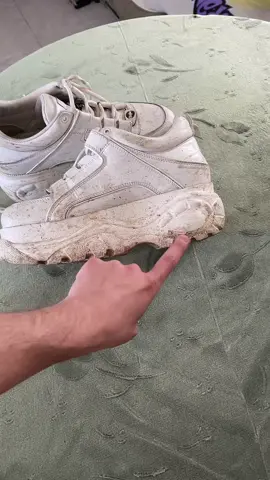 ✨Este “Limpiazapatillas” es brutal✨ ¡Limpia las zapatillas y las deja nuevas como al principio! #limpiazapatos #philips #hogar #limpieza #clean #increible #resultado #fyp