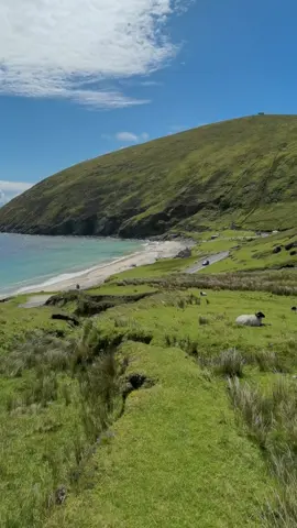 Ireland landscape 🇮🇪 #landscape #paisajes #views #ireland #beach #irish #video #fyp #foryourpage #trending #viral #viralvideo #repost #levelup