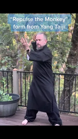 Meditative movement #taiji #meditation #mindfulness #qigong #kungfu #yoga