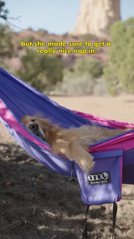 The best adventure buddies have 4 legs ❤️🐶