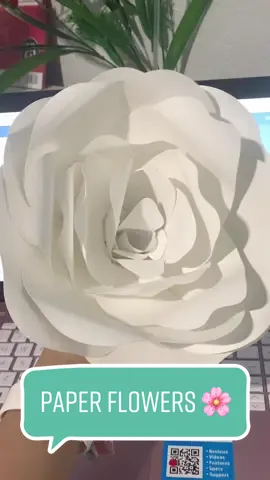 First time making this size Paper flowers 🌸 #floresdepapel #papercraft #cricutexploreair2 #cricutprojects @Cricut  #cardstockflowers #fypage