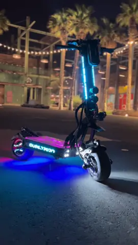 The most expensive and powerful electro scooter.  I will use it as tank in case of the world war 3 😈 #dualtronx2 #electroscooter #110kmph🔥🔥