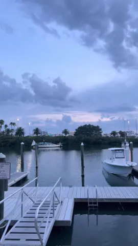 Water side dining 😍 #clearwater #clearwaterbeach #clearwaterflorida #food #FoodTok #floridatok #seafood #seafoodlover