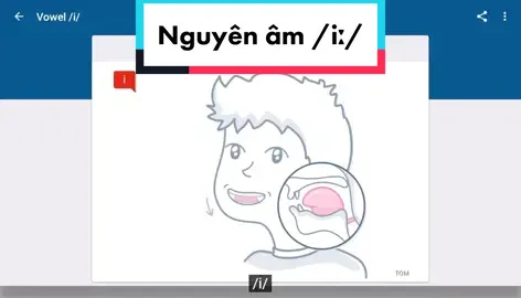 Tự học phát âm chuẩn Mỹ - P2 #english #LearnOnTikTok #vowel #pronunciation #phatamtienganh #nguyenam #hoccungtiktok #voice #accent #learnwithtiktok